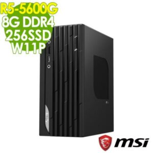 MSI 微星 PRO DP20ZA 迷你電腦 (R5-5600G/8G/256SSD/W11P)二手筆電收購